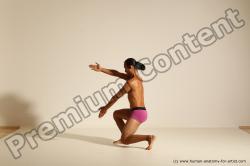 Elmer - Traditional Korean Art